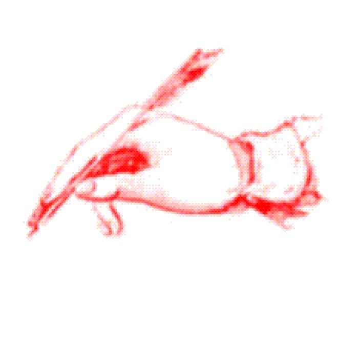 jpeg.jpg