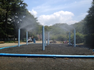 12080401.jpg