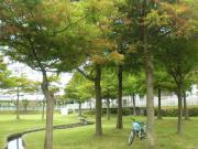 湧水公園