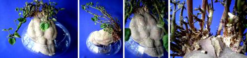 120703-02A.jpg