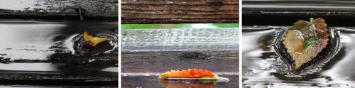 120705-02A.jpg