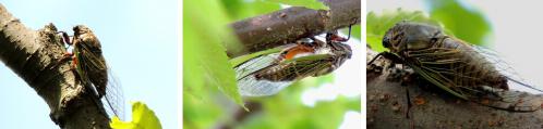120728-03A.jpg