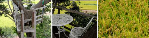 120903-05A.jpg
