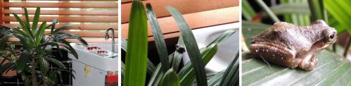 120905-03Am.jpg