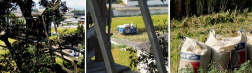 120907-01A.jpg