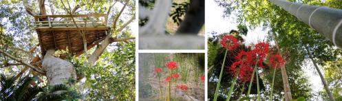 120930-01AS.jpg
