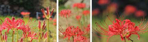 120930-02AS.jpg