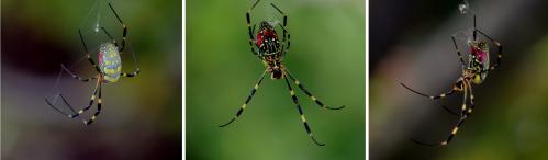 121031-01A.jpg