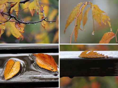 121120-22A.jpg