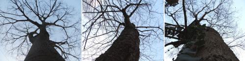 130108-01A.jpg