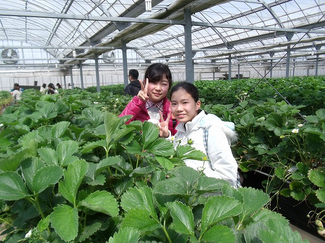 DSCF1579.jpg