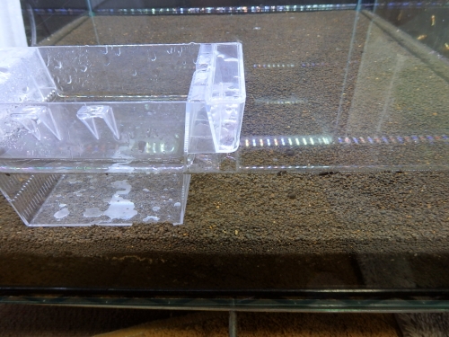PA120449.jpg