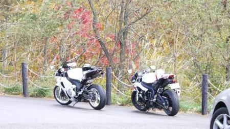 CA4GLJP51_convert_20121112191124.jpg