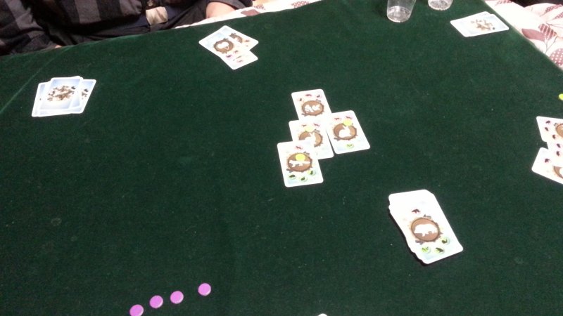 2013-01-12-002.jpg