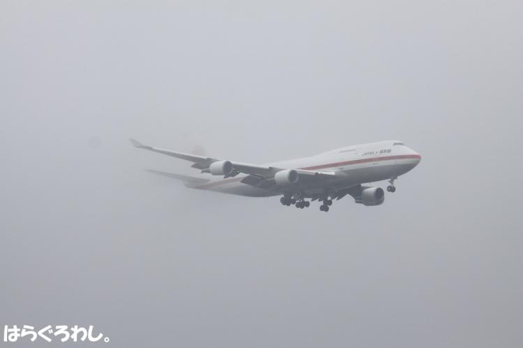 IMG_8207T.jpg
