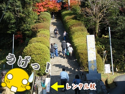 DSCF1001.jpg