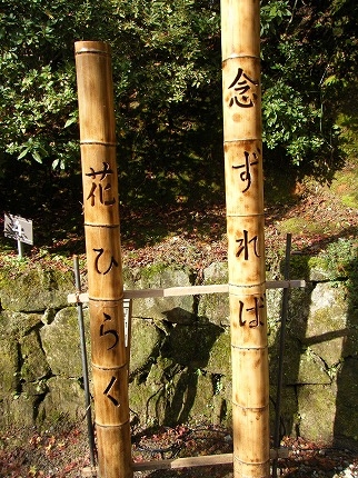DSCF1012.jpg