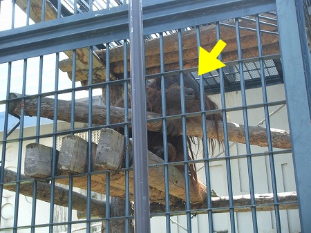 DSCF2623.jpg