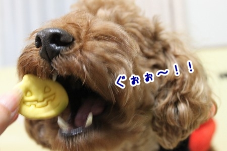 IMG_9776_20121031213846.jpg
