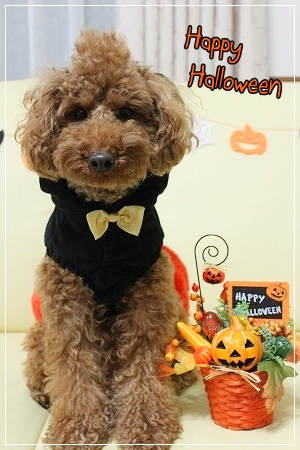 IMG_9779_20121031213845.jpg