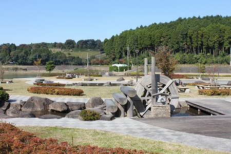 IMG_9828_20121106204740.jpg