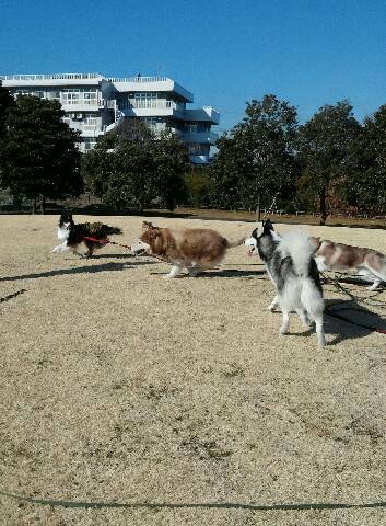 img20140123_232753.jpg