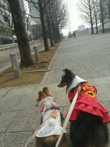 img20140125_183130.jpg