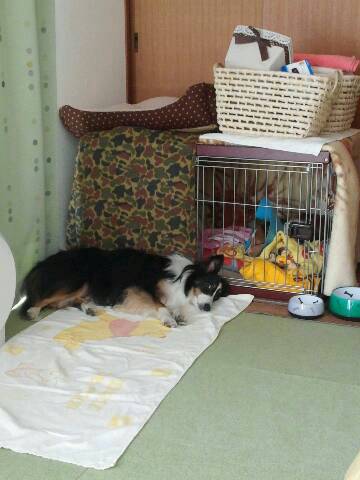 img20140201_205312.jpg