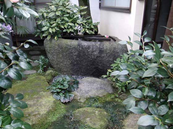 DSCF0976-563.jpg