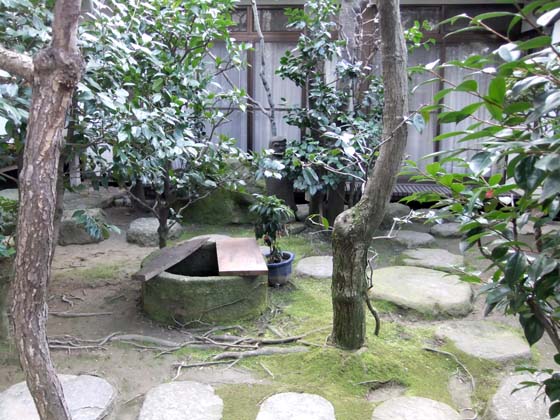 DSCF0978-566.jpg
