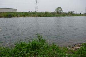120430根尾川1