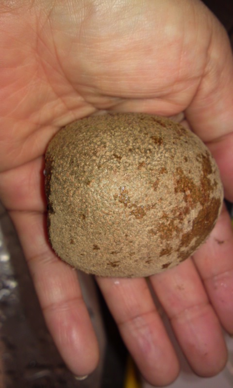 PA0_0168.jpg