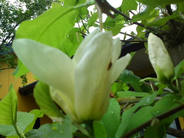 PAP_0081.jpg