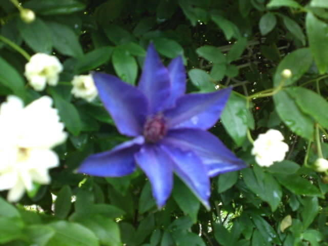 PAP_0084.jpg
