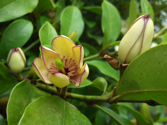 PAP_0088.jpg