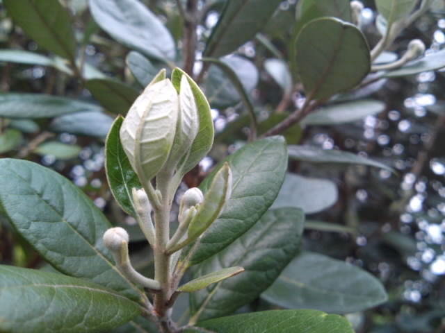 PAP_0093.jpg