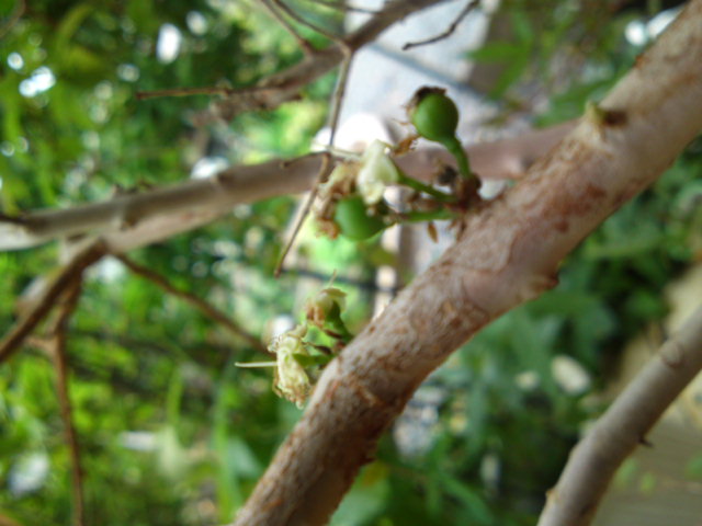 PAP_0112.jpg