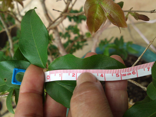 PAP_0114.jpg