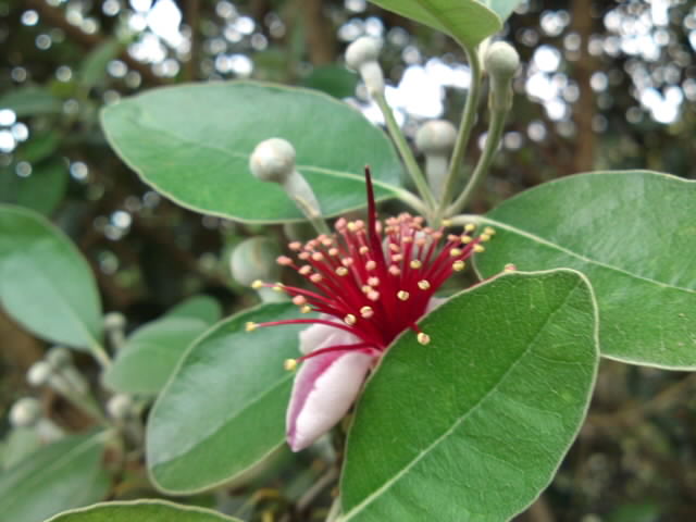 PAP_0136.jpg