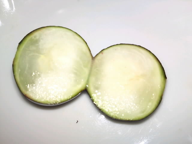 PAP_0144.jpg