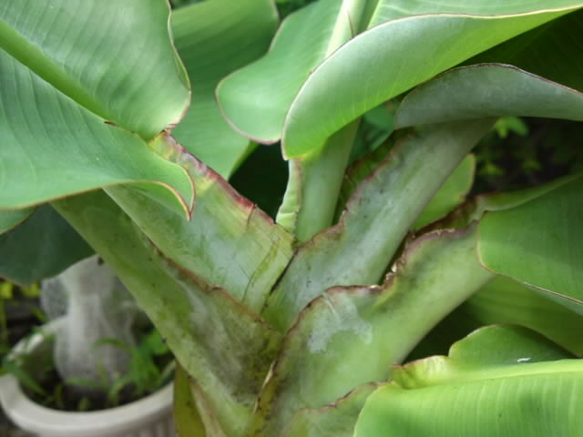 PAP_0156.jpg