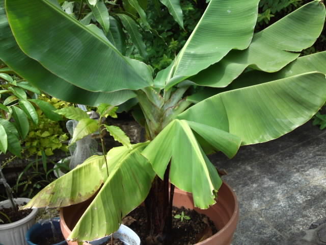 PAP_0157.jpg