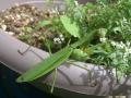 IMG_2012091820867.jpg