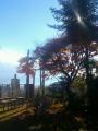 IMG_2012120422352.jpg