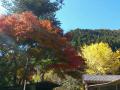 IMG_2012121229655.jpg