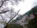 s-P1000316.jpg