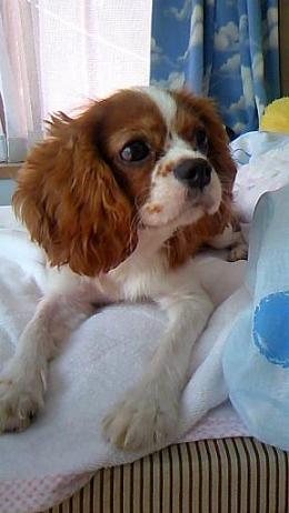 20120705.jpg