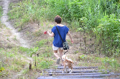DSC_0019_20120724174608.jpg