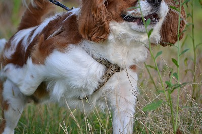 DSC_0020_20120719192748.jpg