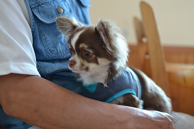 DSC_0037_20120613190052.jpg